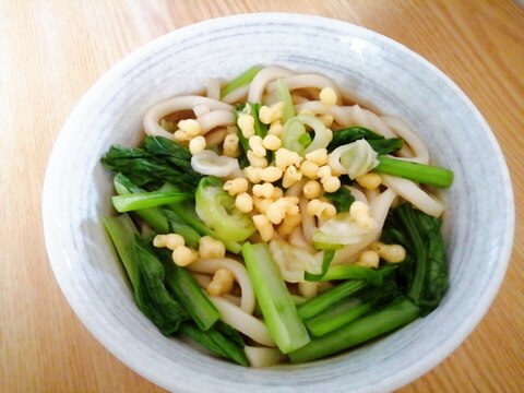 揚げ玉入り☆小松菜とねぎの温うどん